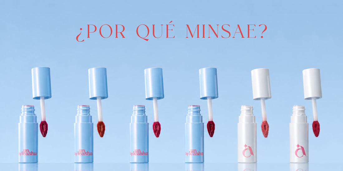¿Por Qué MINSAE?