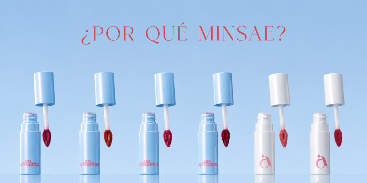 ¿Por Qué MINSAE?